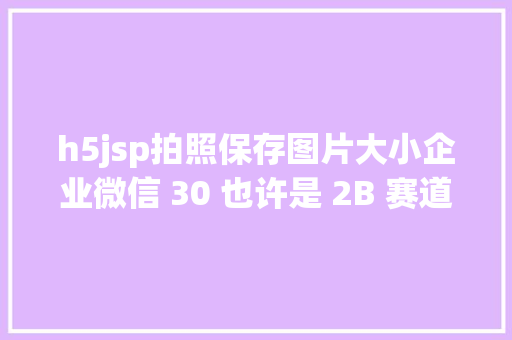 h5jsp拍照保存图片大小企业微信 30 也许是 2B 赛道的最后盈余