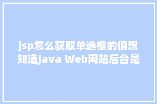 jsp怎么获取单选框的值想知道Java Web网站后台是若何获取我们提交的信息吗看这里 Vue.js