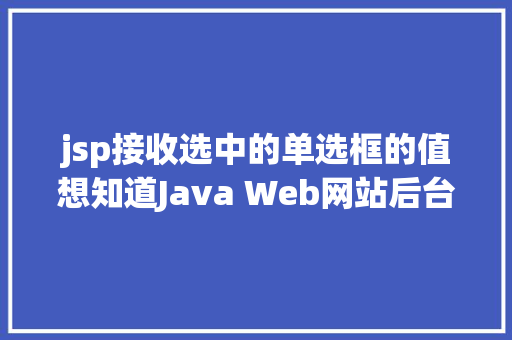 jsp接收选中的单选框的值想知道Java Web网站后台是若何获取我们提交的信息吗看这里 Node.js