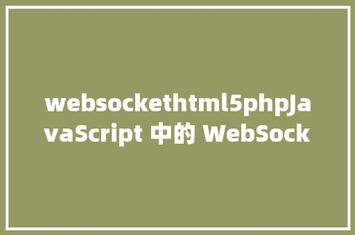 websockethtml5phpJavaScript 中的 WebSocket Webpack