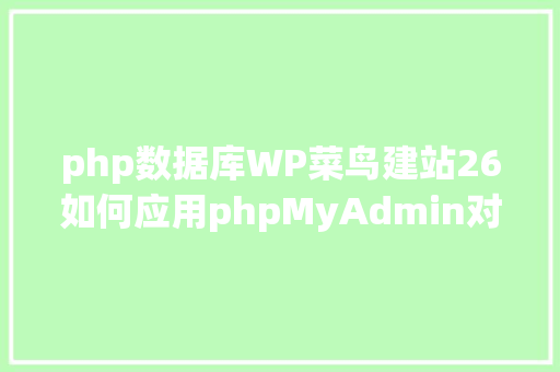 php数据库WP菜鸟建站26如何应用phpMyAdmin对象操作wordpress数据库