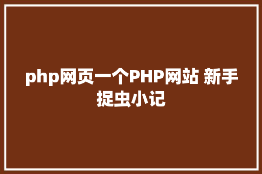 php网页一个PHP网站 新手捉虫小记