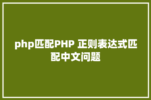 php匹配PHP 正则表达式匹配中文问题