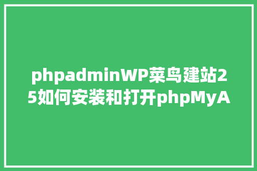 phpadminWP菜鸟建站25如何安装和打开phpMyAdmin数据库治理对象 GraphQL