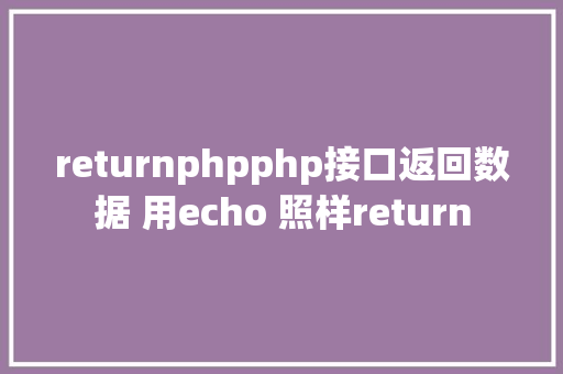 returnphpphp接口返回数据 用echo 照样return Vue.js