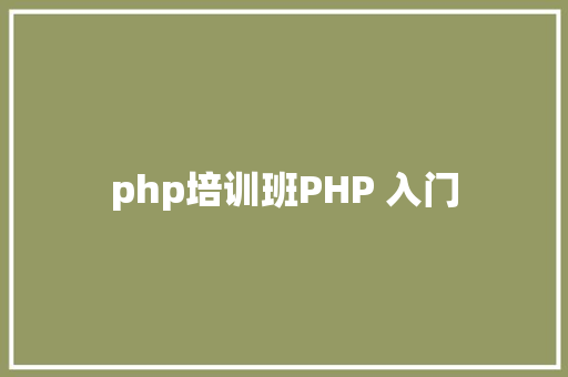 php培训班PHP 入门 Vue.js