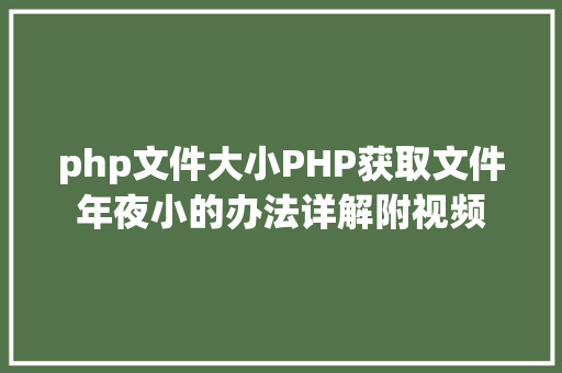 php文件大小PHP获取文件年夜小的办法详解附视频 Node.js