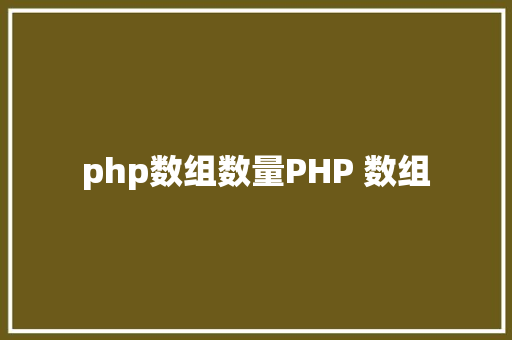 php数组数量PHP 数组 Vue.js