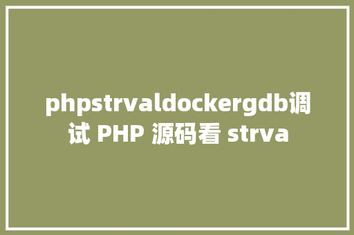 phpstrvaldockergdb调试 PHP 源码看 strva