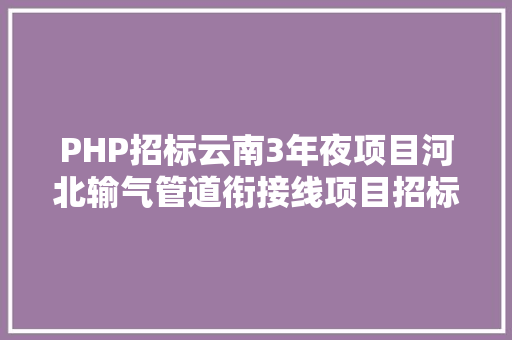 PHP招标云南3年夜项目河北输气管道衔接线项目招标 JavaScript