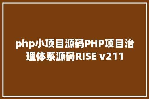 php小项目源码PHP项目治理体系源码RISE v211 React