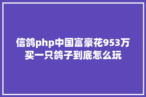 信鸽php中国富豪花953万买一只鸽子到底怎么玩