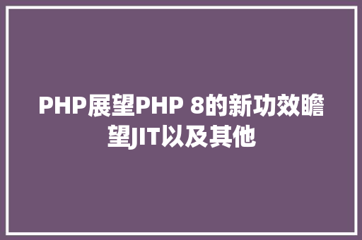 PHP展望PHP 8的新功效瞻望JIT以及其他 Ruby