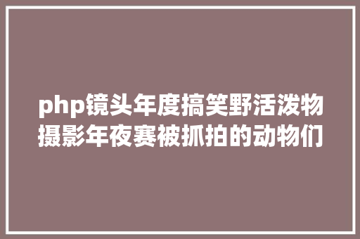 php镜头年度搞笑野活泼物摄影年夜赛被抓拍的动物们的确从头开端啊哈哈哈哈