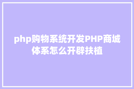 php购物系统开发PHP商城体系怎么开辟扶植 CSS