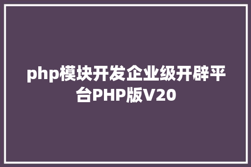 php模块开发企业级开辟平台PHP版V20 Angular