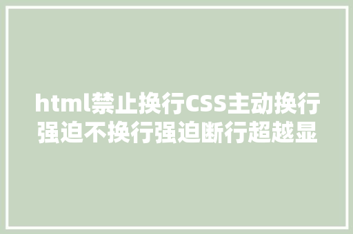 html禁止换行CSS主动换行强迫不换行强迫断行超越显示省略号 RESTful API