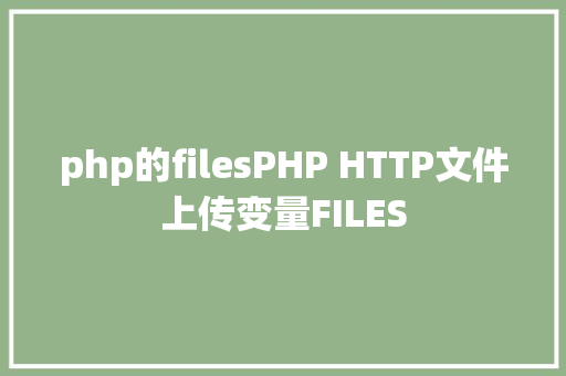 php的filesPHP HTTP文件上传变量FILES HTML