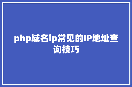 php域名ip常见的IP地址查询技巧 JavaScript