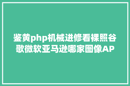 鉴黄php机械进修看裸照谷歌微软亚马逊哪家图像API鉴黄才能强