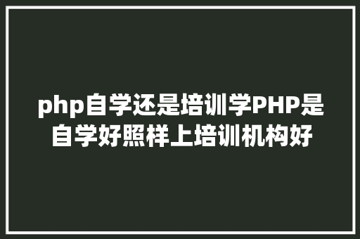 php自学还是培训学PHP是自学好照样上培训机构好