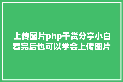 上传图片php干货分享小白看完后也可以学会上传图片不再求人 CSS