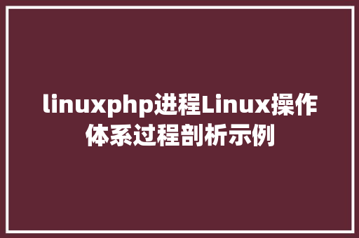 linuxphp进程Linux操作体系过程剖析示例 SQL