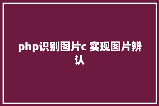 php识别图片c 实现图片辨认