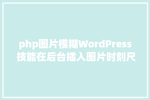 php图片模糊WordPress 技能在后台插入图片时刻尺寸选择框只保存完全尺寸