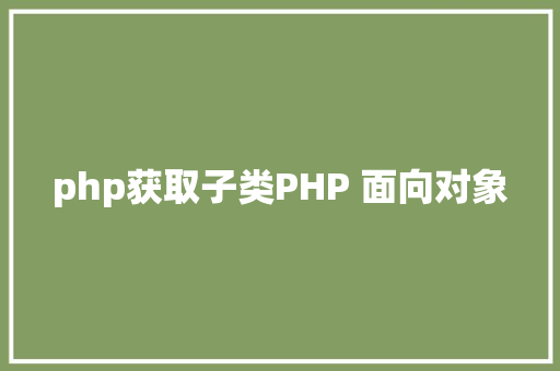 php获取子类PHP 面向对象 Webpack