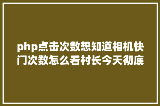 php点击次数想知道相机快门次数怎么看村长今天彻底说清晰