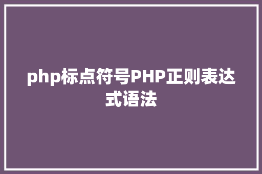 php标点符号PHP正则表达式语法 NoSQL