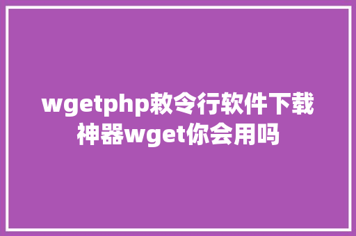 wgetphp敕令行软件下载神器wget你会用吗