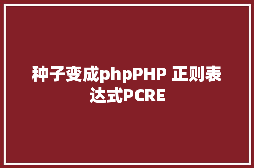 种子变成phpPHP 正则表达式PCRE