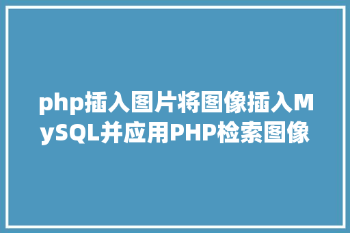 php插入图片将图像插入MySQL并应用PHP检索图像