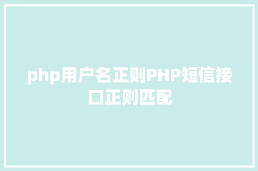 php用户名正则PHP短信接口正则匹配 Ruby