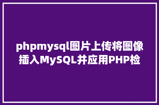 phpmysql图片上传将图像插入MySQL并应用PHP检索图像 Webpack