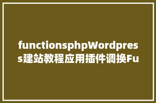 functionsphpWordpress建站教程应用插件调换FunctionsPhp