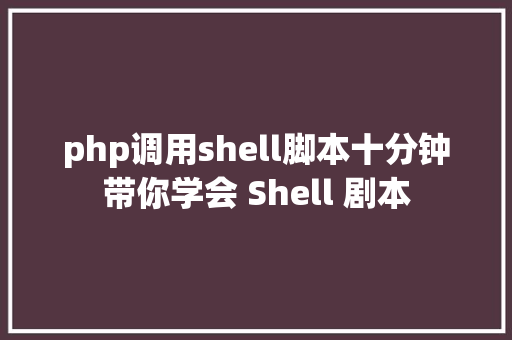 php调用shell脚本十分钟带你学会 Shell 剧本 CSS