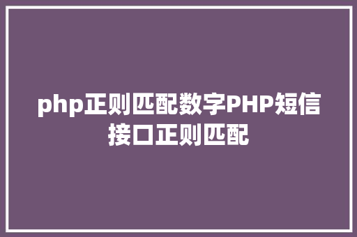 php正则匹配数字PHP短信接口正则匹配 Angular