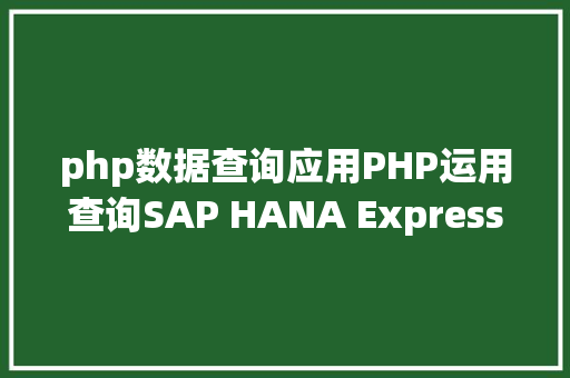 php数据查询应用PHP运用查询SAP HANA Express Edition里的数据