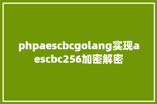 phpaescbcgolang实现aescbc256加密解密 CSS