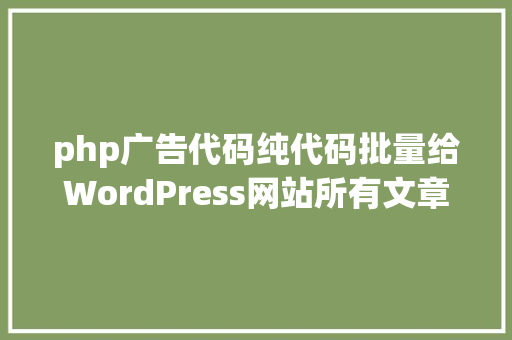 php广告代码纯代码批量给WordPress网站所有文章底部添加谷歌Adsense告白