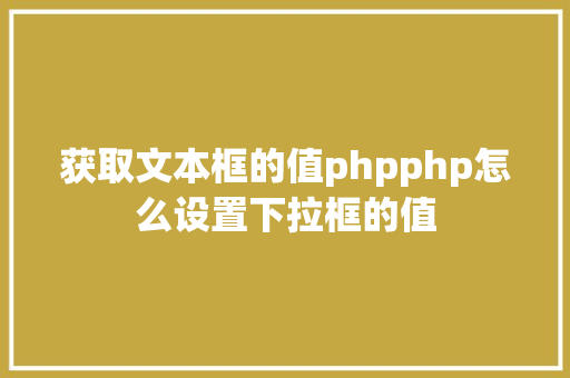 获取文本框的值phpphp怎么设置下拉框的值 RESTful API