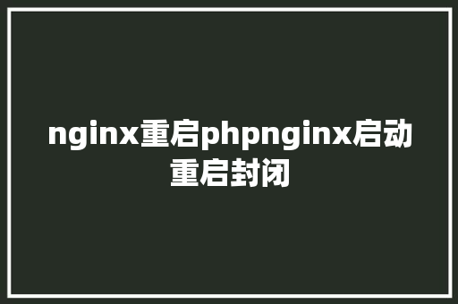 nginx重启phpnginx启动重启封闭 Vue.js