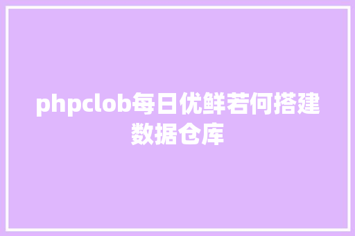 phpclob每日优鲜若何搭建数据仓库