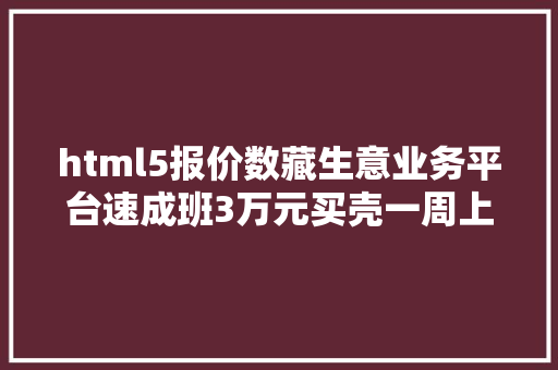 html5报价数藏生意业务平台速成班3万元买壳一周上线制造刊行都可外包