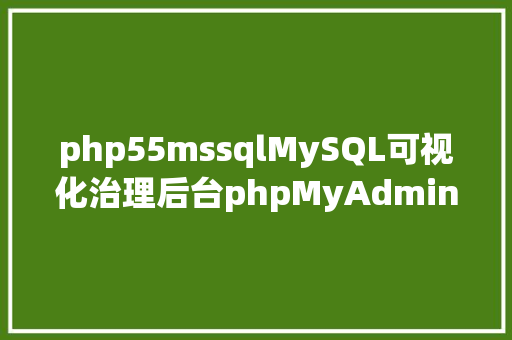 php55mssqlMySQL可视化治理后台phpMyAdmin 493 和 500 宣布 Angular