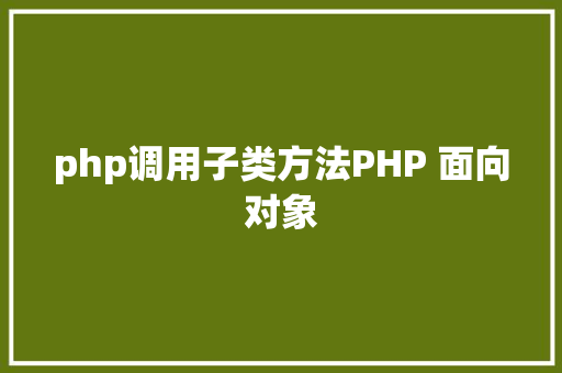 php调用子类方法PHP 面向对象 Docker