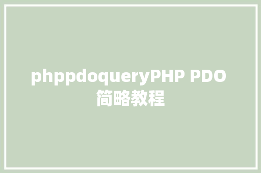 phppdoqueryPHP PDO 简略教程 Vue.js